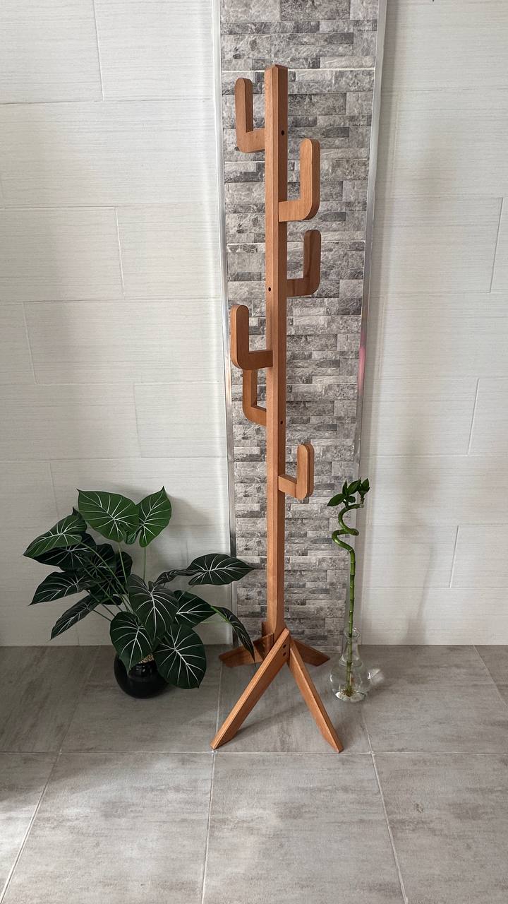 رف معطف الصبار 🌵