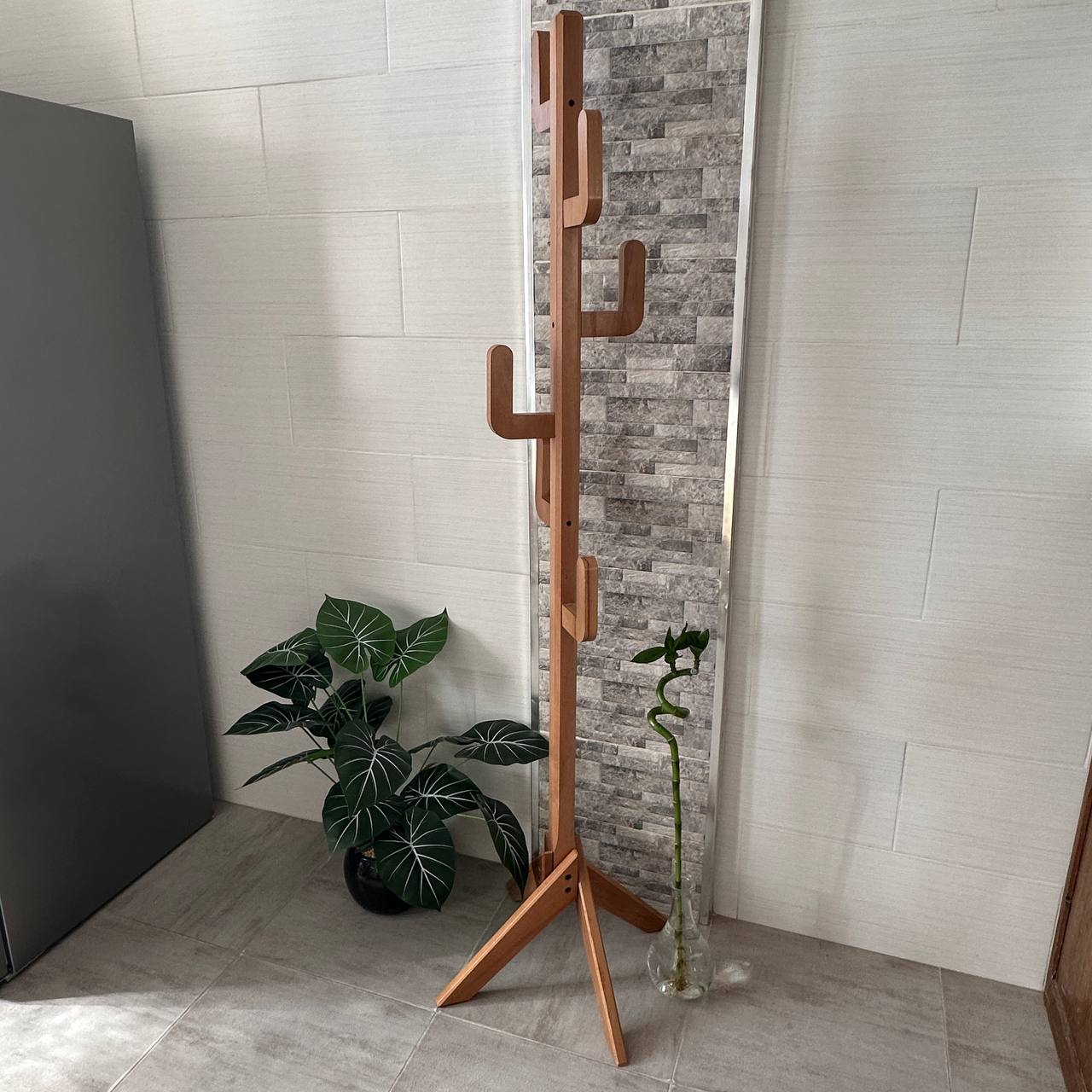 رف معطف الصبار 🌵