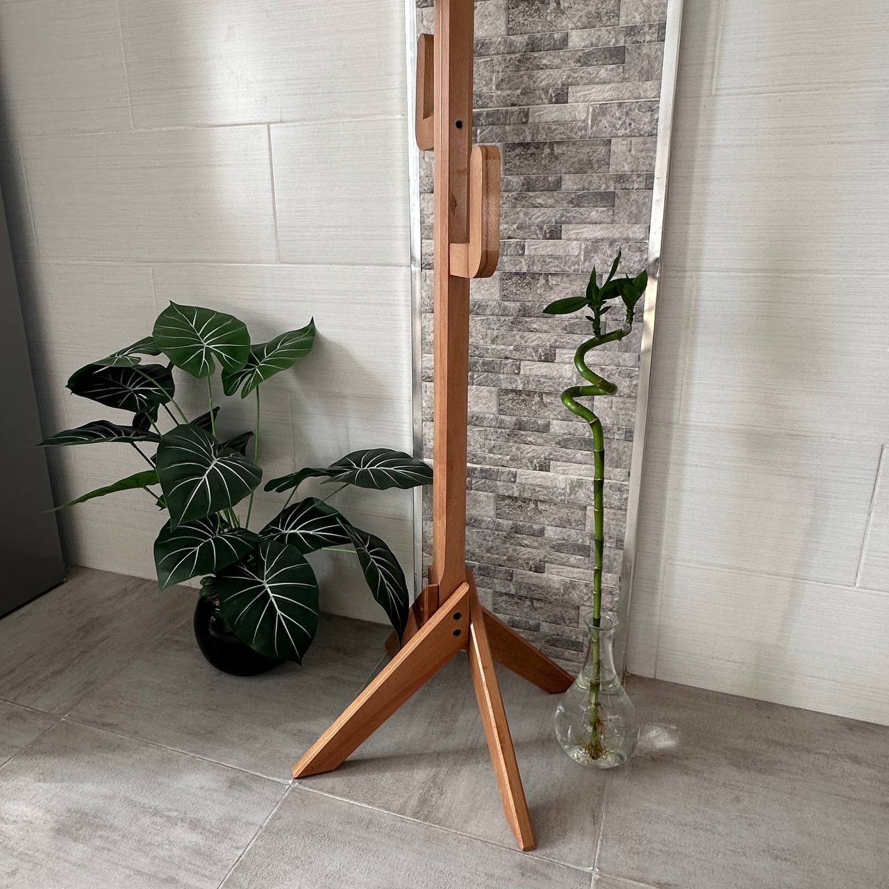 رف معطف الصبار 🌵