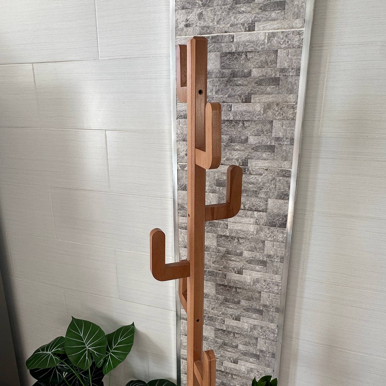 رف معطف الصبار 🌵